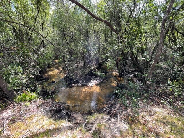 304 St James Road DeFuniak Springs, FL 32433 - Photo 3 of 37