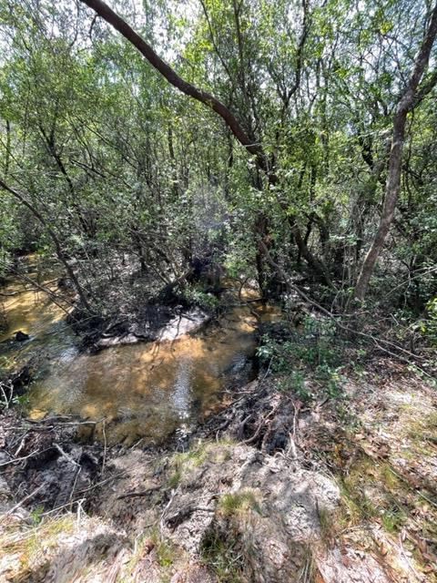 304 St James Road DeFuniak Springs, FL 32433 - Photo 4 of 37 a view of a yard with a tree