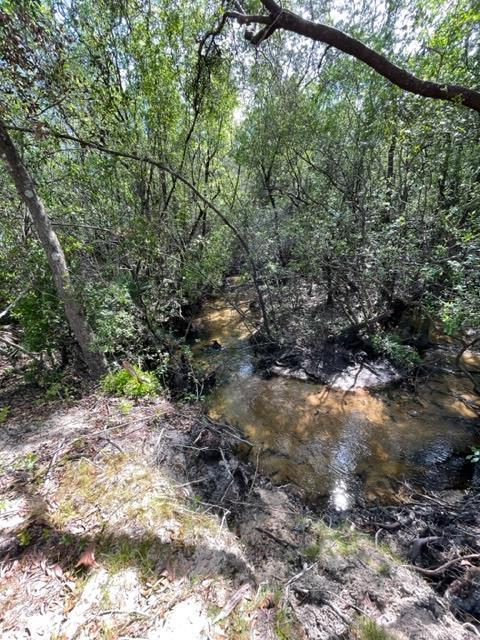 304 St James Road DeFuniak Springs, FL 32433 - Photo 5 of 37 a view of a yard with a tree