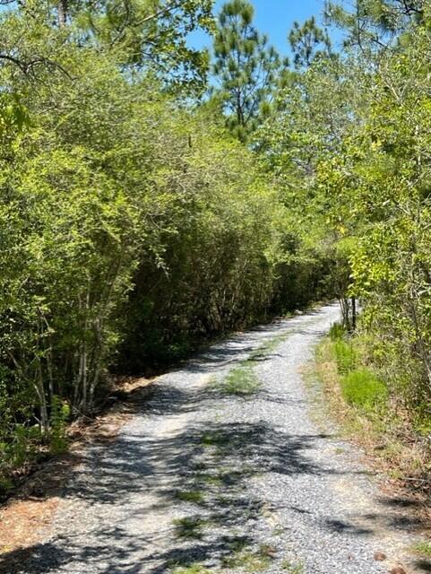 304 St James Road DeFuniak Springs, FL 32433 - Photo 10 of 37 a view of a yard with a tree