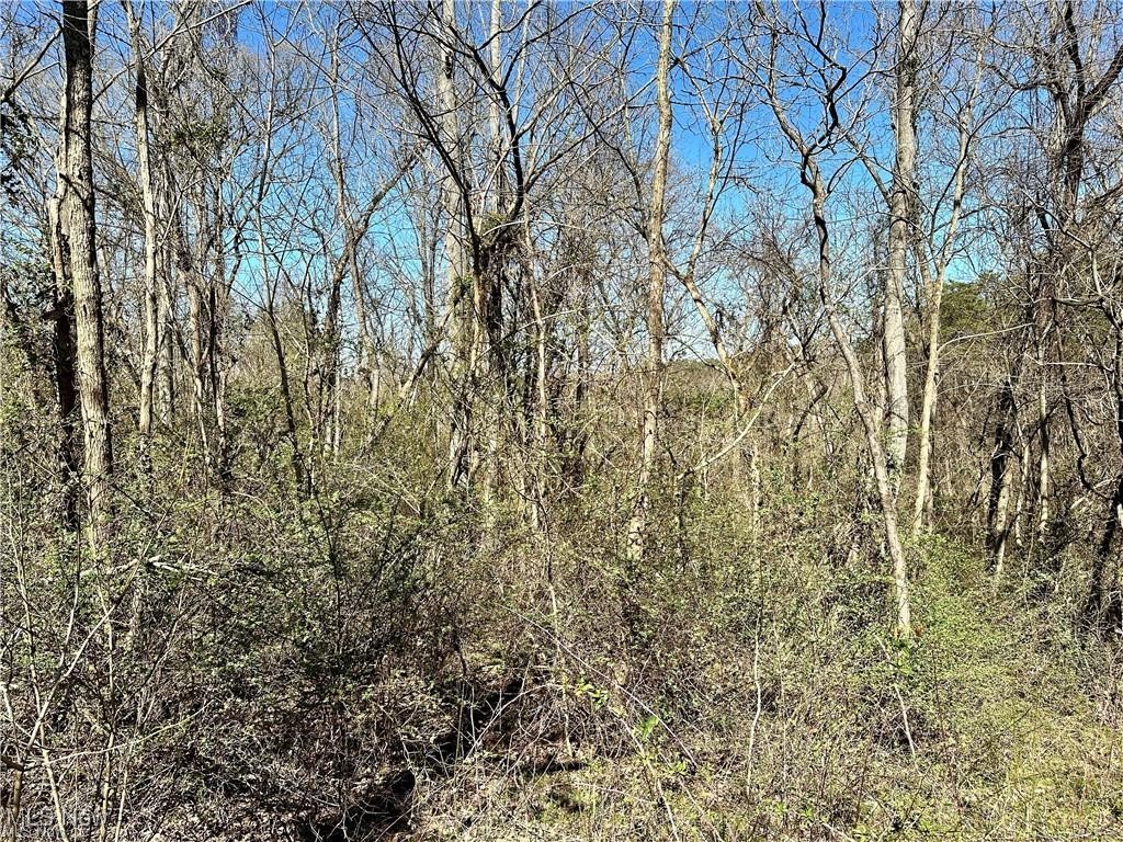 0 Fisher Ridge Road Fleming, OH 45729 - Photo 4 of 6 View of local wilderness
