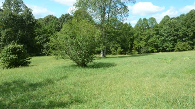 2248 Wolfe Road White Bluff, TN 37187 - Photo 9 of 9 back yard slopes down to the tree line