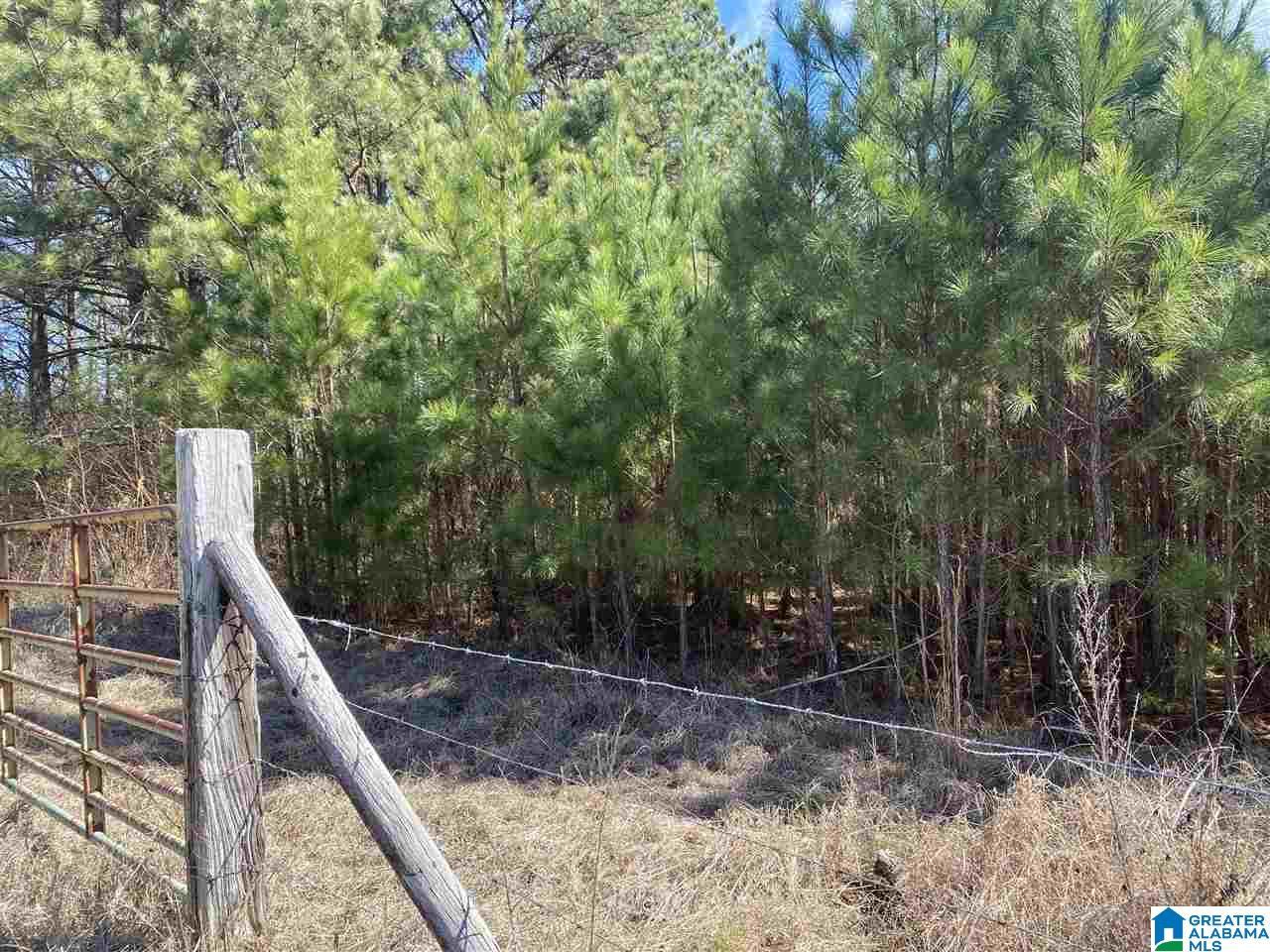 1560 Oren Miller Road, Unit 1 Warrior, AL 35180 - Photo 12 of 19