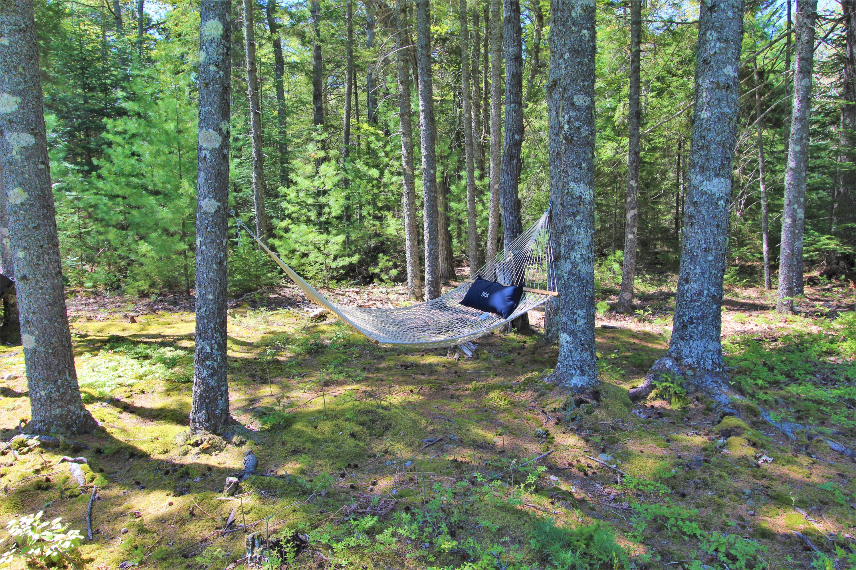 199 Walker Road Lamoine, ME 04605 - Photo 17 of 82 IMG_2043