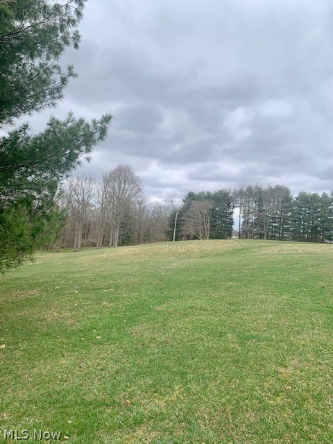 451 Rocky Point Road Fleming, OH 45729 - Photo 8 of 33 2.89 acres