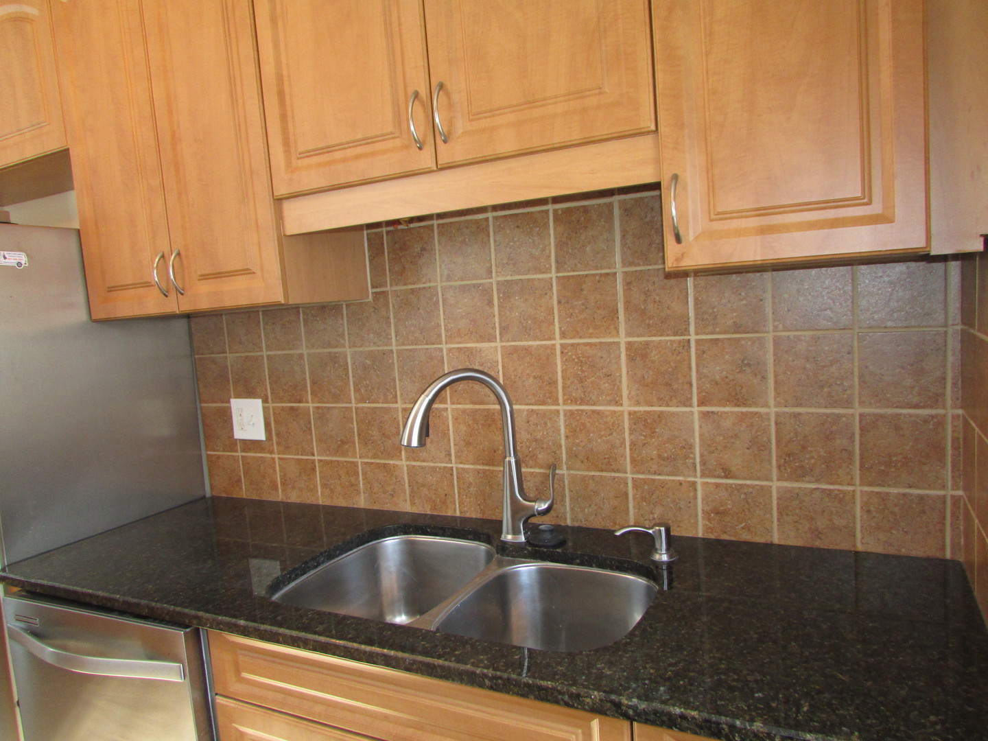 309 East Golf Road Des Plaines, IL 60016 - Photo 12 of 27 a close view of sink