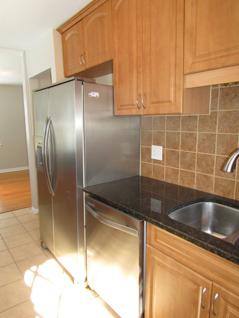 309 East Golf Road Des Plaines, IL 60016 - Photo 13 of 27 a close view of sink and tap