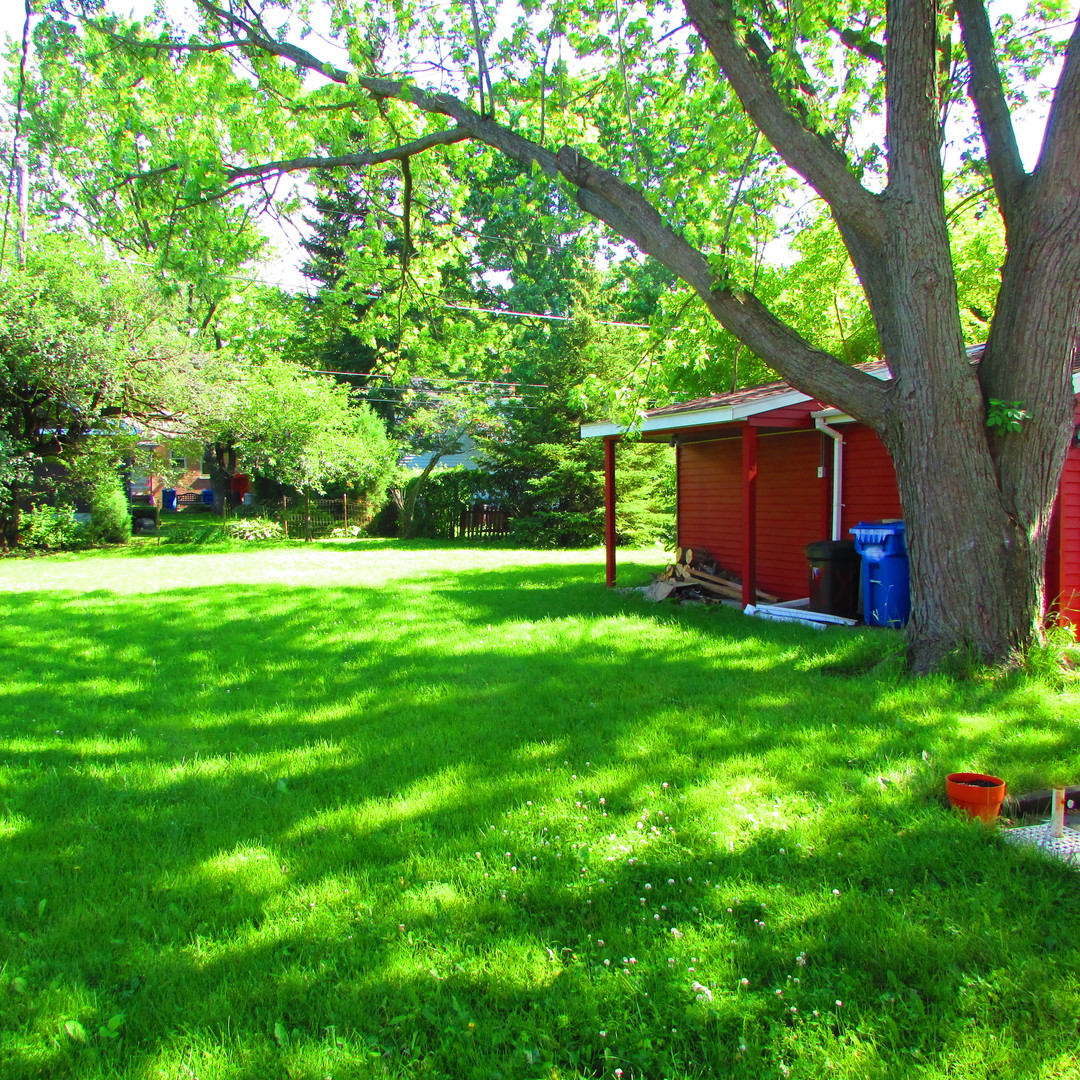 309 East Golf Road Des Plaines, IL 60016 - Photo 26 of 27 a view of a backyard with large trees and plants