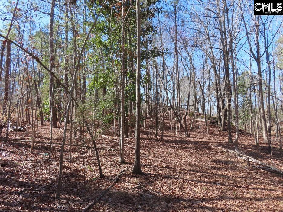 0 Rion Road Winnsboro, SC 29180 - Photo 28 of 42
