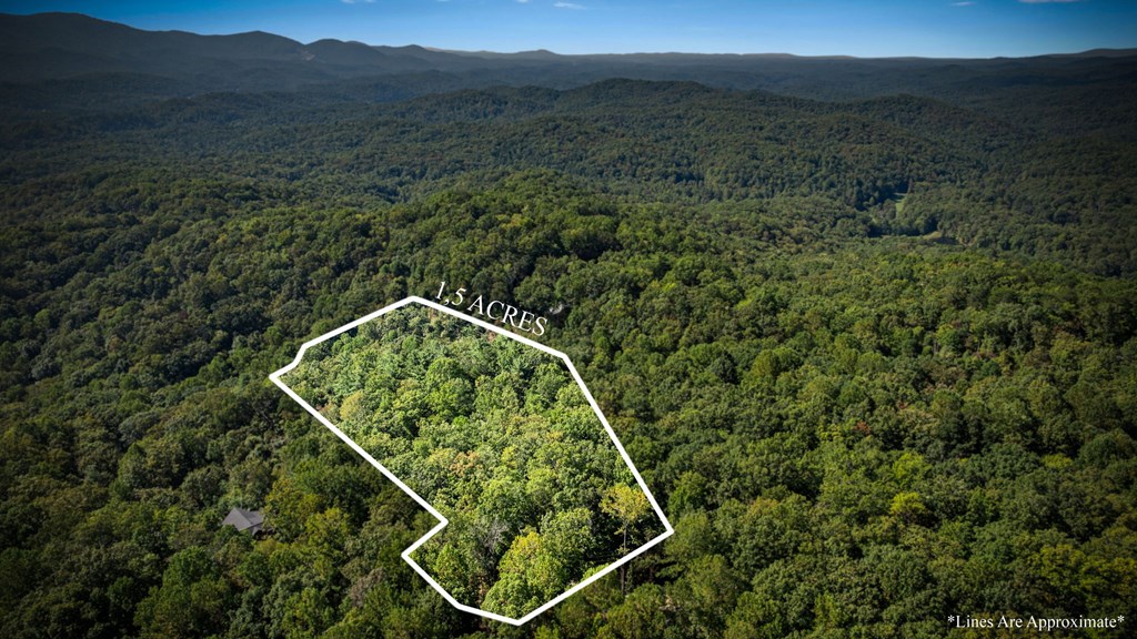0 Broken Arrow Path Blue Ridge, GA 30513 - Photo 7 of 30 approximate