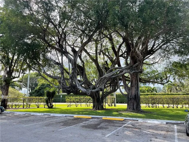 a view of road and trees