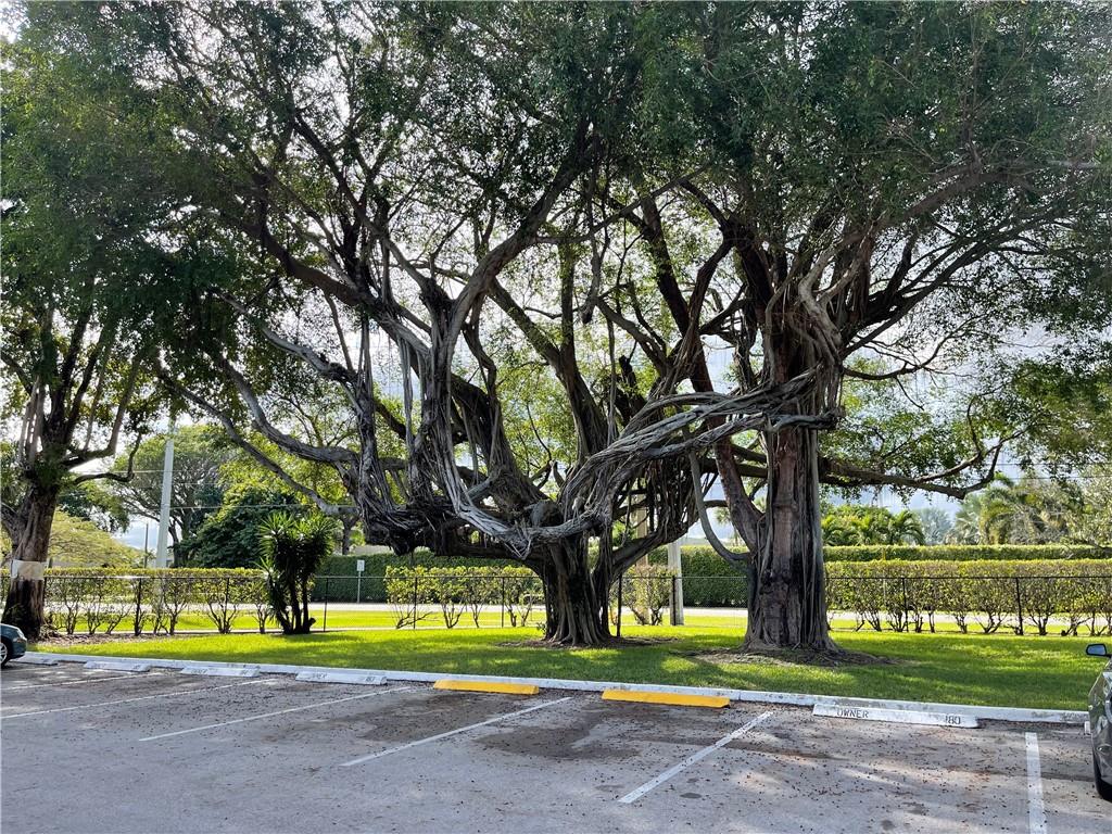 550 Southeast 2nd Avenue, Unit G5 Deerfield Beach, FL 33441 - Photo 18 of 28 a view of road and trees