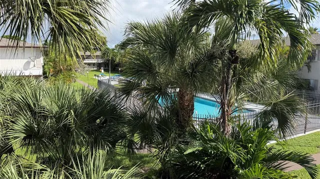 a view of a back yard