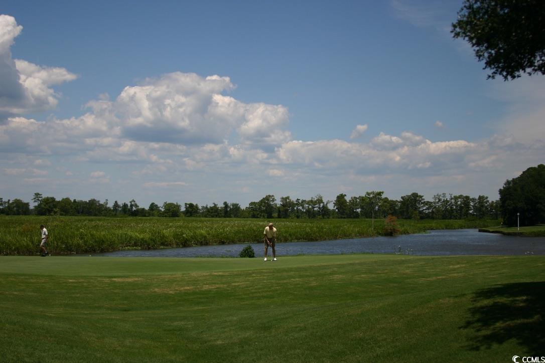 110 Hallandale Lane Murrells Inlet, SC 29576 - Photo 33 of 37