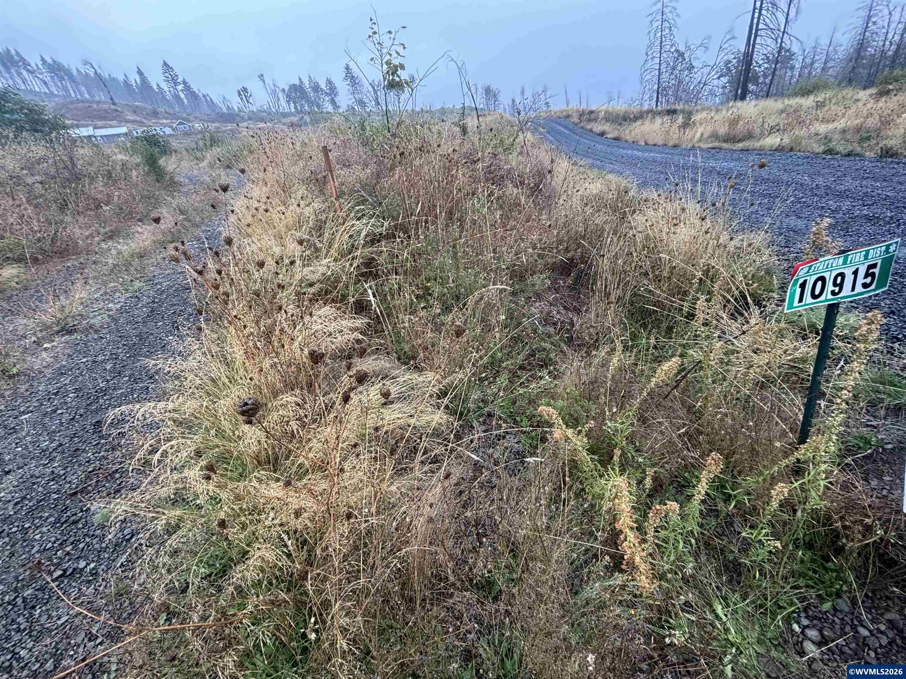 10915 Southeast Kubin Road Lyons, OR 97358 - Photo 3 of 37 a view of a dry yard with trees