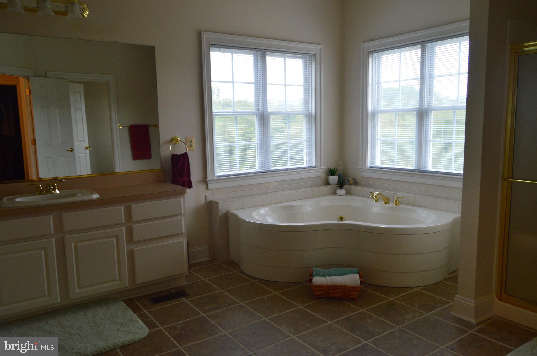 23185 Sparta Road Milford, VA 22514 - Photo 26 of 38 Owners bath
