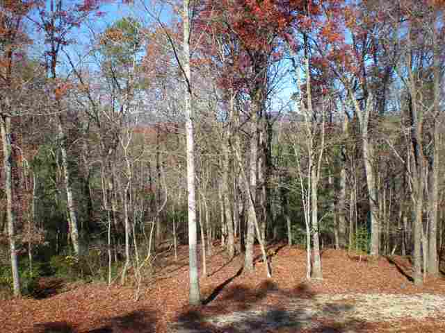 589 Forest Road Mountain Rest, SC 29664 - Photo 22 of 22 Gallery Image 22