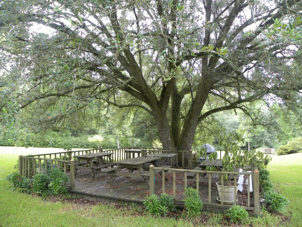 10656 Nicaud Road Franklinton, LA 70438 - Photo 17 of 23 Gallery Image 17