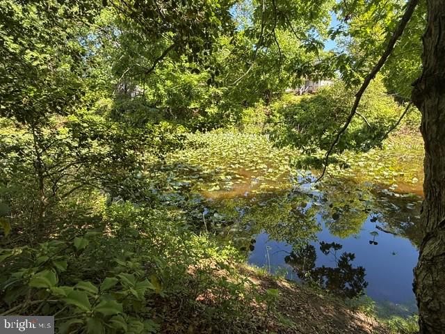 32 Placid Road Colonial Beach, VA 22443 - Photo 2 of 54