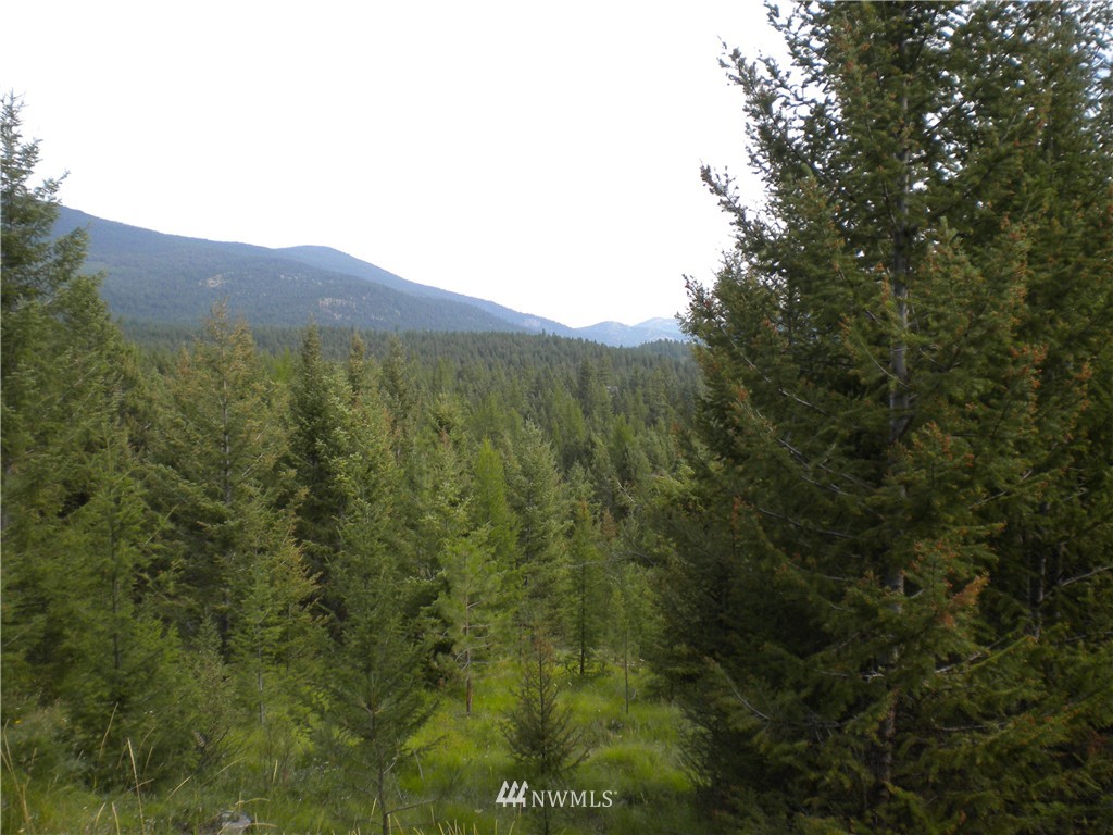 70 Lightning Creek Road Tonasket, WA 98855 - Photo 2 of 24 Gallery Image 2