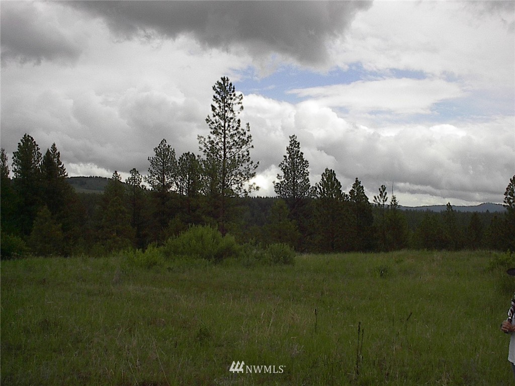 70 Lightning Creek Road Tonasket, WA 98855 - Photo 13 of 24 Gallery Image 13
