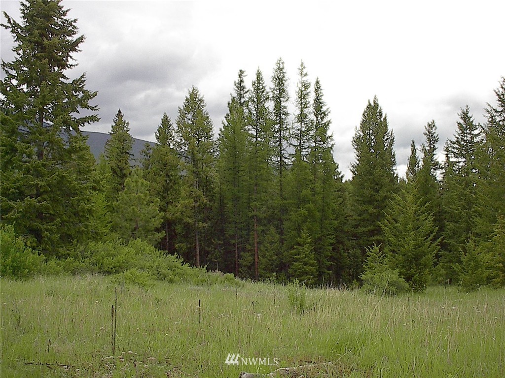 70 Lightning Creek Road Tonasket, WA 98855 - Photo 14 of 24 Gallery Image 14