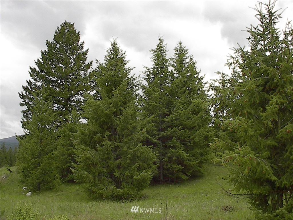 70 Lightning Creek Road Tonasket, WA 98855 - Photo 15 of 24 Gallery Image 15