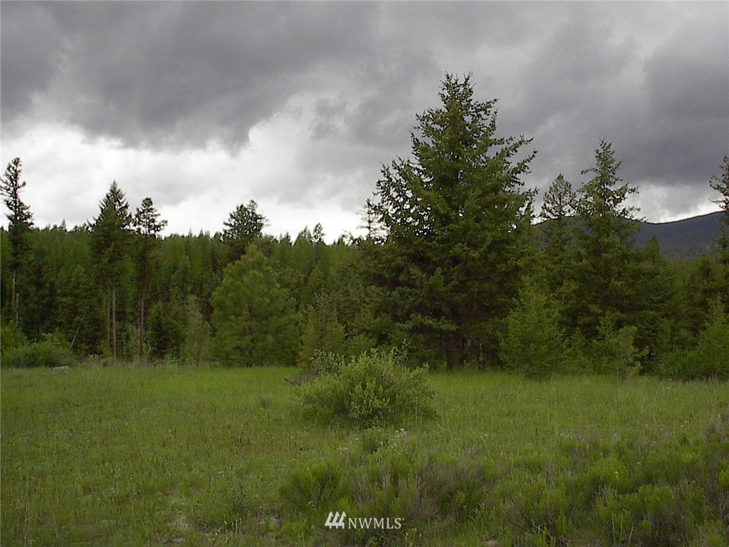 70 Lightning Creek Road Tonasket, WA 98855 - Photo 16 of 24 Gallery Image 16