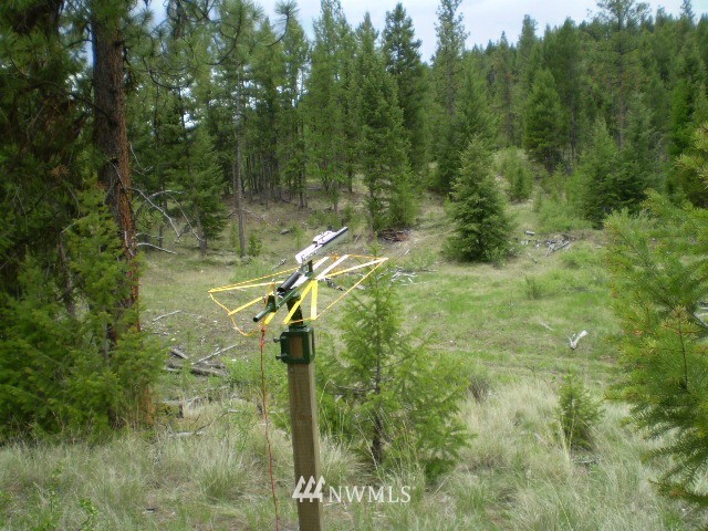 70 Lightning Creek Road Tonasket, WA 98855 - Photo 8 of 24 Gallery Image 8
