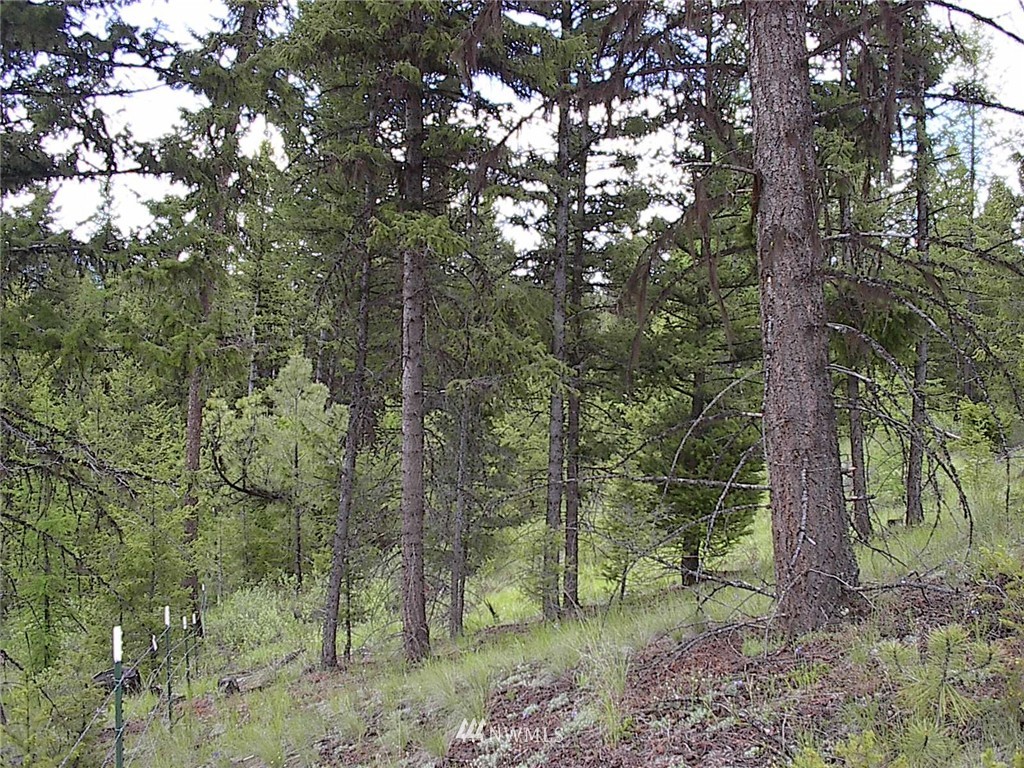 70 Lightning Creek Road Tonasket, WA 98855 - Photo 9 of 24 Gallery Image 9