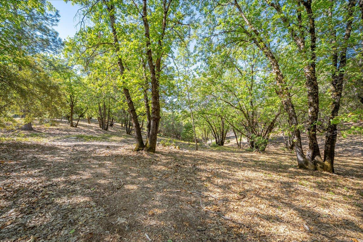 740 Big John Ridge Road Colfax, CA 95713 - Photo 47 of 53 Gallery Image 47