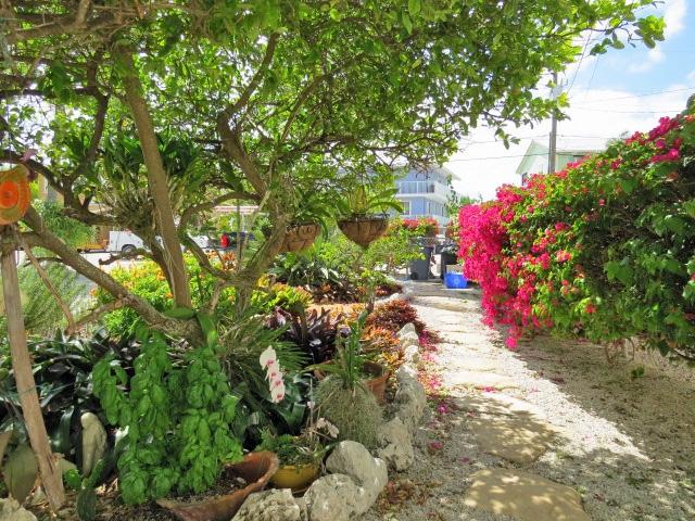 1207 Mockingbird Road Key Largo, FL 33037 - Photo 14 of 40 Gardens