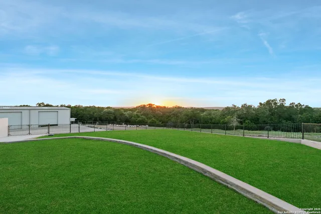 a view of a big yard with a large tree