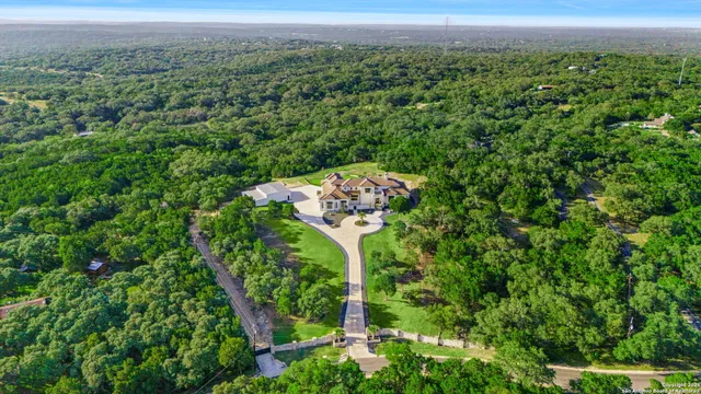 a view of a green field with lots of bushes