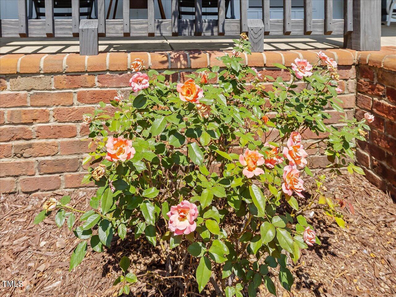 694 Sellars Road Cameron, NC 28326 - Photo 43 of 50 45-045-694SellarsRd-20240814