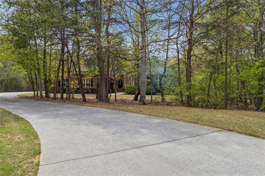 20 Stampede Pass Rydal, GA 30171 - Photo 6 of 77 a view of outdoor space with trees