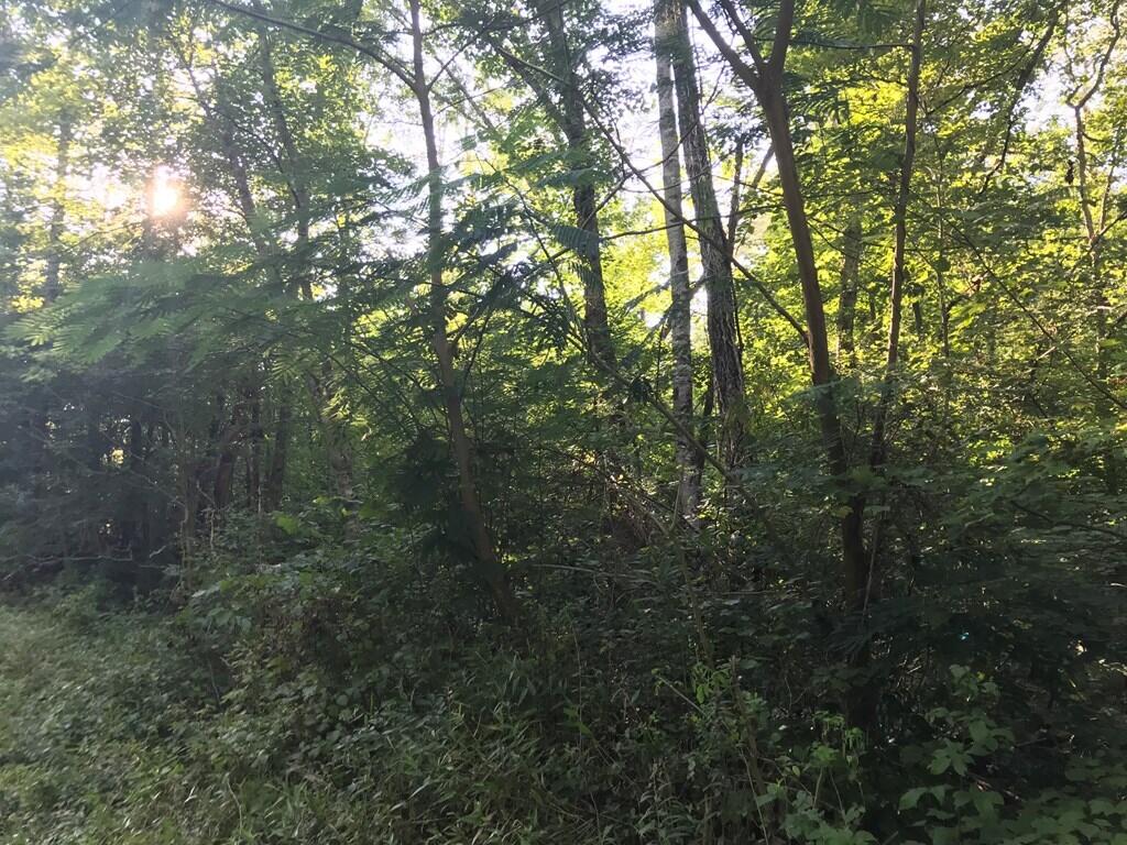 0 Steve Brown Road, Unit 5B Bean Station, TN 37708 - Photo 11 of 11 601103_10