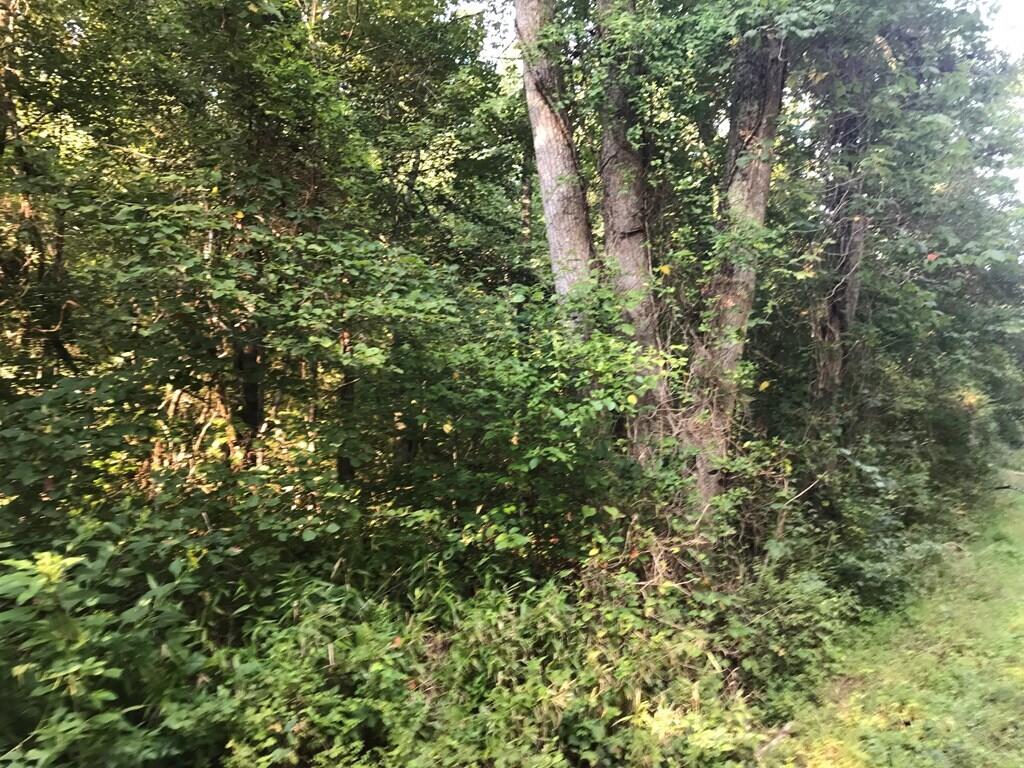 0 Steve Brown Road, Unit 5B Bean Station, TN 37708 - Photo 8 of 11 601103_7