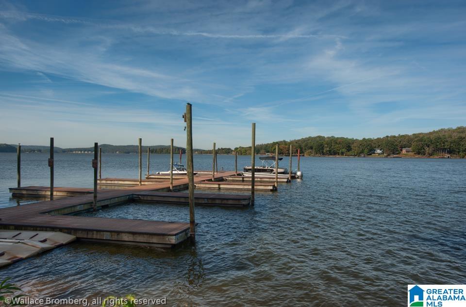 84 Harbor Pointe Drive Delta, AL 36258 - Photo 42 of 66