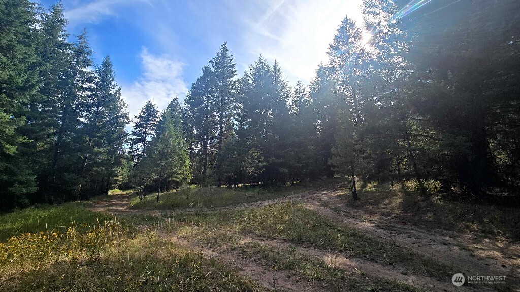 188 Rebel Road Oroville, WA 98844 - Photo 15 of 37 Gallery Image 15