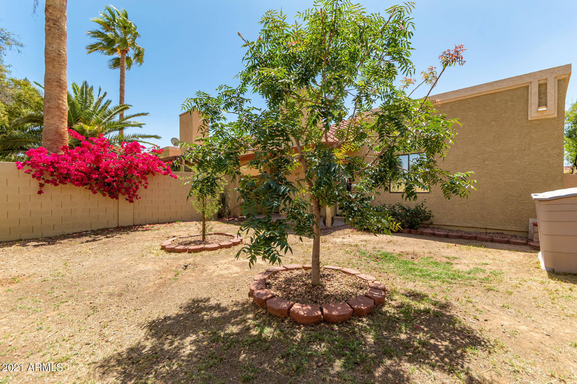 2848 East Brown Road, Unit 17 Mesa, AZ 85213 - Photo 31 of 36 34 - Brown Backyard