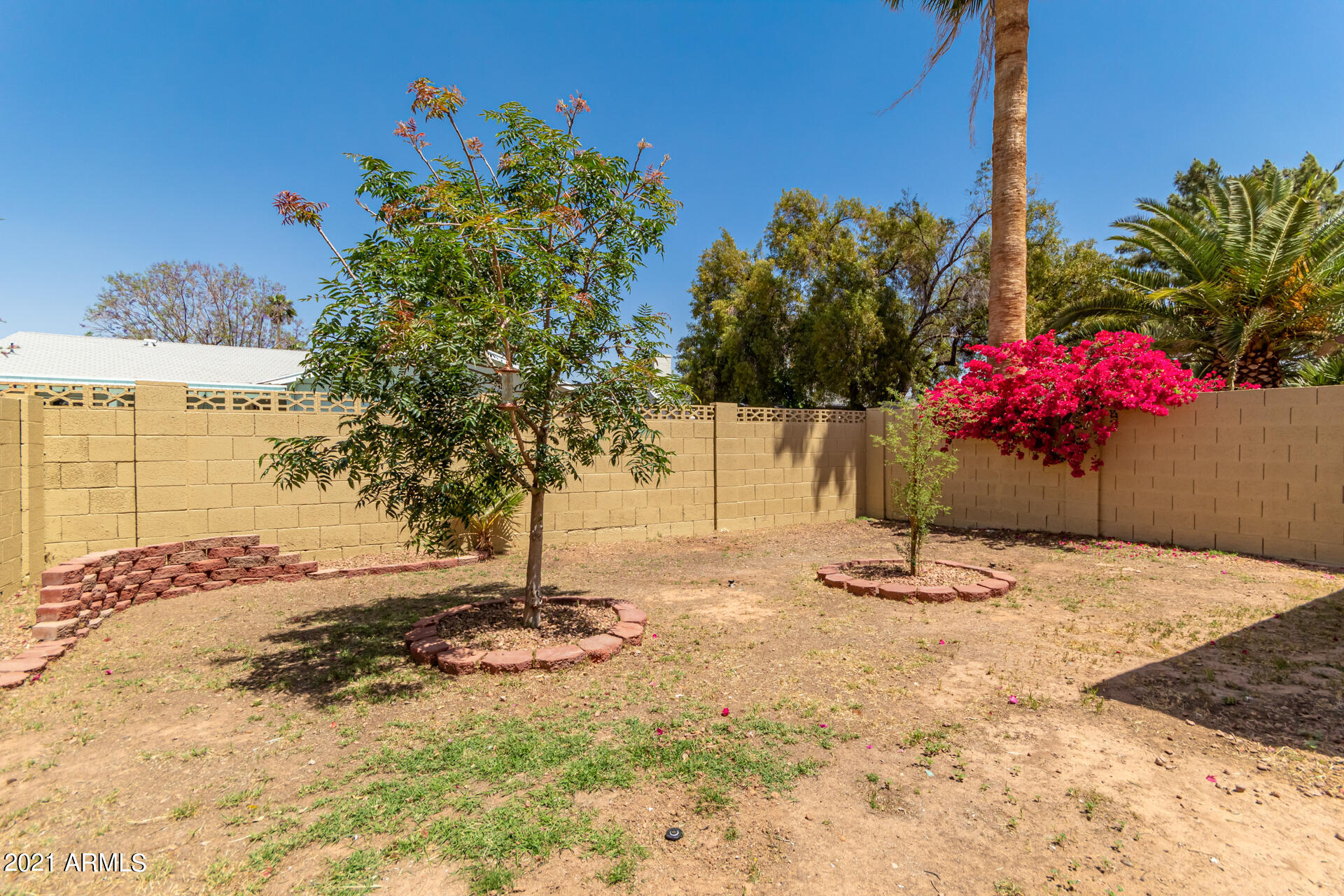 2848 East Brown Road, Unit 17 Mesa, AZ 85213 - Photo 34 of 36 33 - Brown Backyard