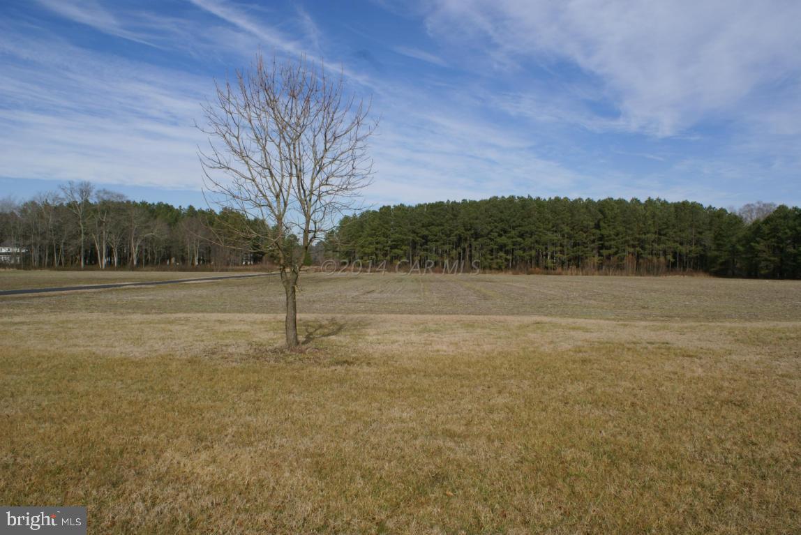 27725 Riverside Drive Salisbury, MD 21801 - Photo 8 of 46 Gallery Image 8