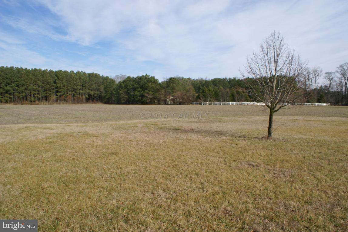 27725 Riverside Drive Salisbury, MD 21801 - Photo 9 of 46 Gallery Image 9