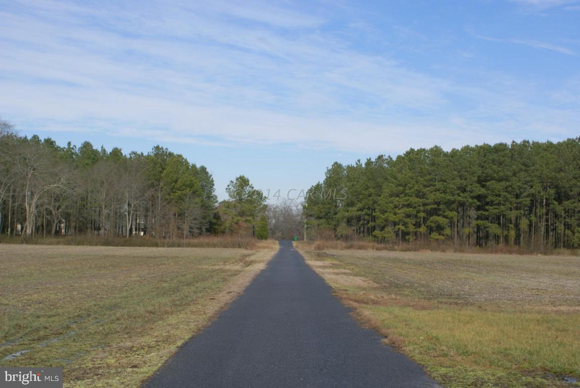 27725 Riverside Drive Salisbury, MD 21801 - Photo 10 of 46 Gallery Image 10