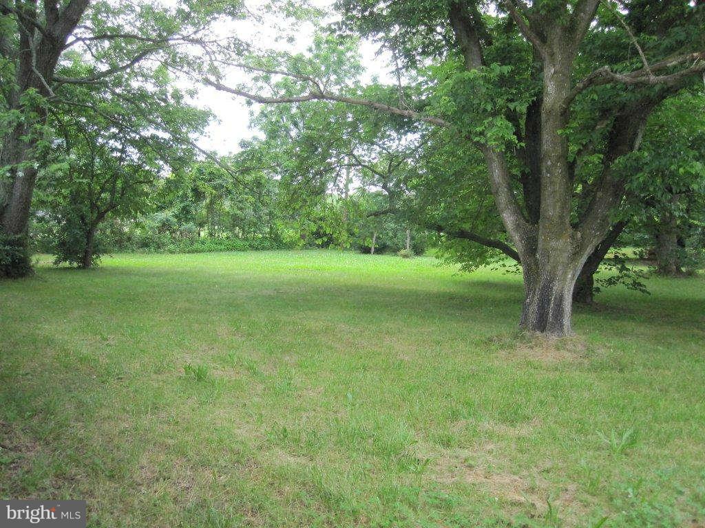 10325 Dahlgren Road King George, VA 22485 - Photo 13 of 14 Back Yard