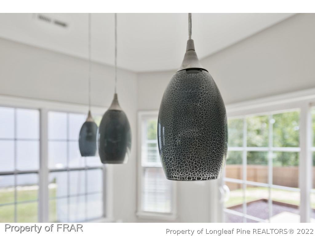 162 Watchmen Lane Cameron, NC 28326 - Photo 6 of 23