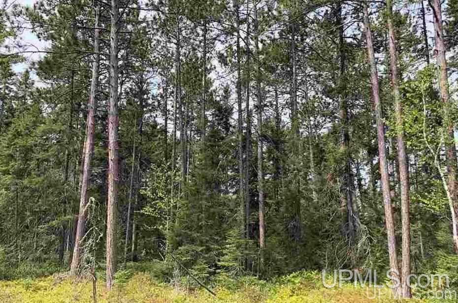 Tbd Little Rice Lake Road, Unit 51&52 Lake Linden, MI 49945 - Photo 2 of 4