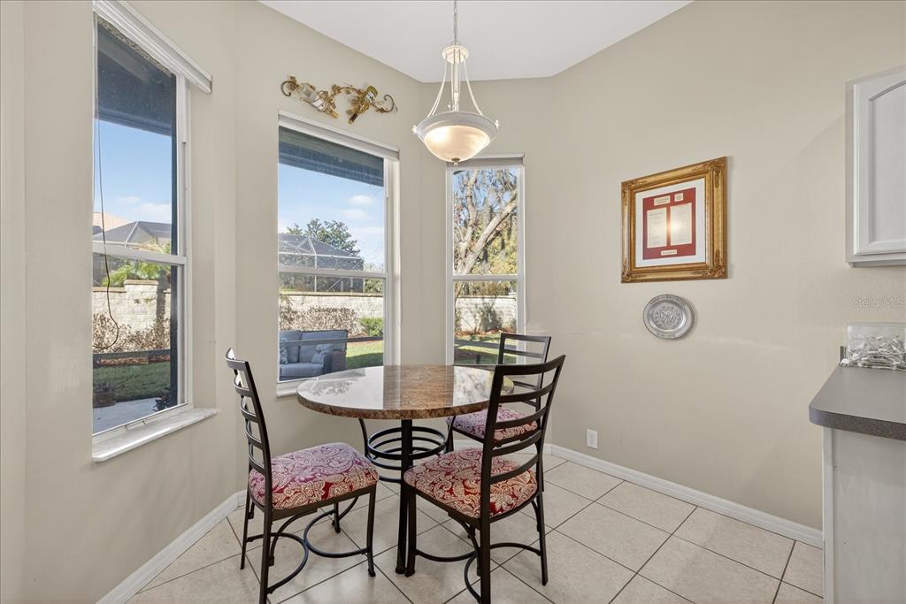 9212 Bonnington Drive Trinity, FL 34655 - Photo 19 of 49