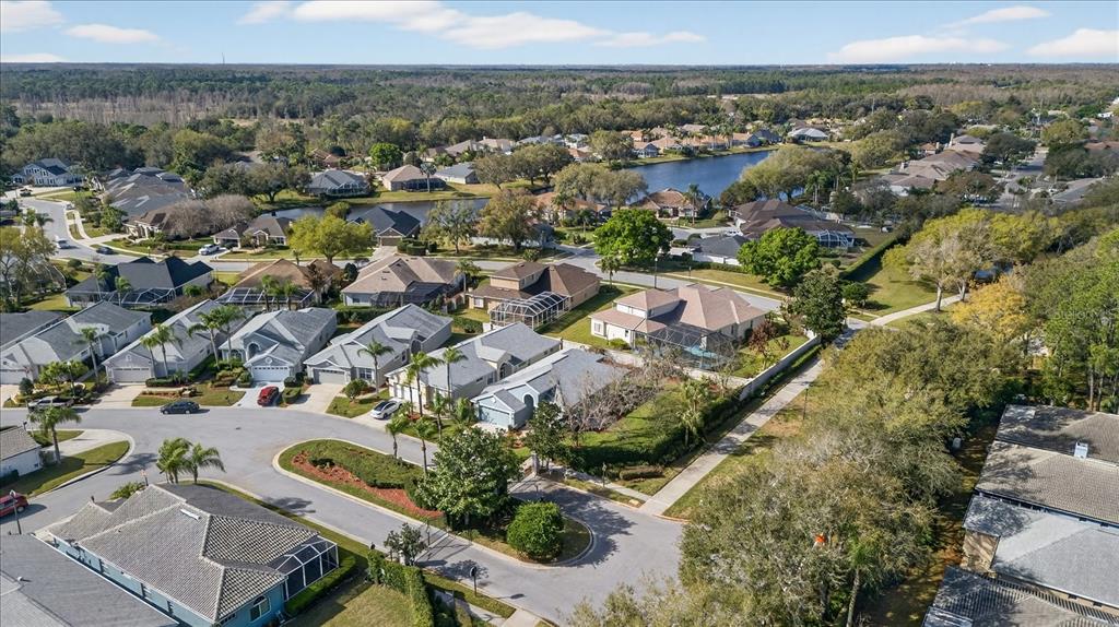 9212 Bonnington Drive Trinity, FL 34655 - Photo 40 of 49